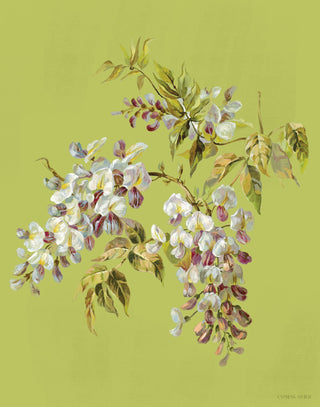 Wisteria In First Spring Print