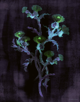 Luminous Thistle