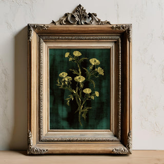 Teal Thistle