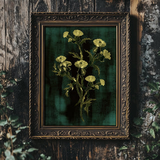 Teal Thistle