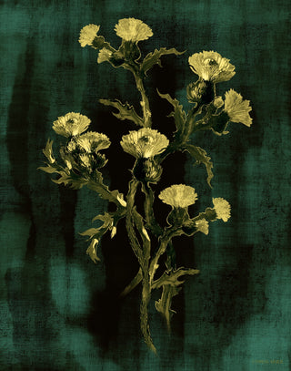 Teal Thistle