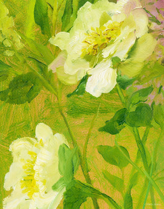 Doe Flora I