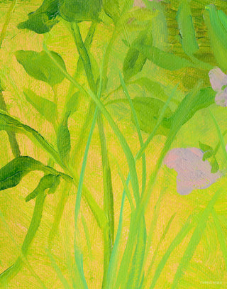 Doe Flora III