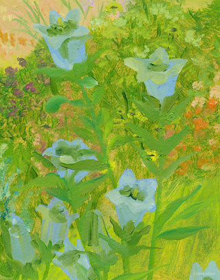 Doe Flora IV