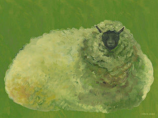 Sheep In Lime