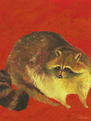 Raccoon In Red