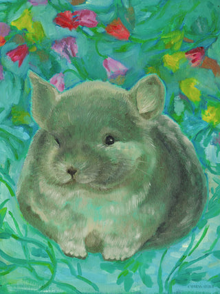 Chinchilla