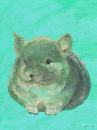 Chinchilla In Turquoise
