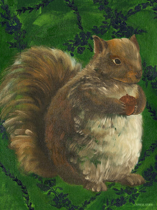 Squirrel