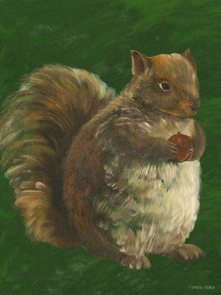 Squirrel In Pine