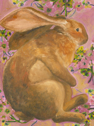 Rabbit