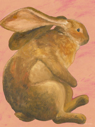 Rabbit In Pink