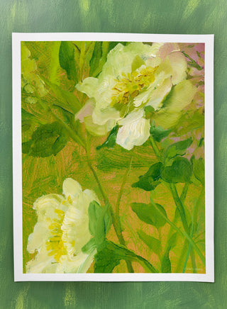 Doe Flora I
