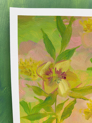 Doe Flora II