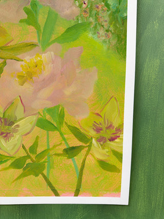 Doe Flora II