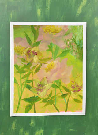 Doe Flora II