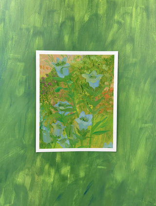 Doe Flora IV