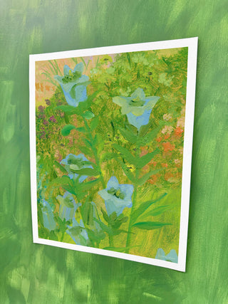 Doe Flora IV