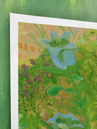 Doe Flora IV