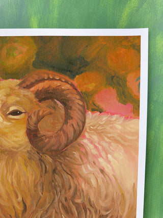 Ram