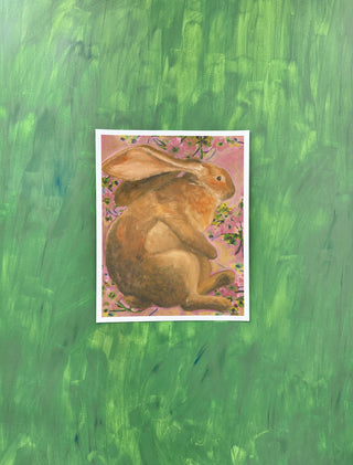 Rabbit