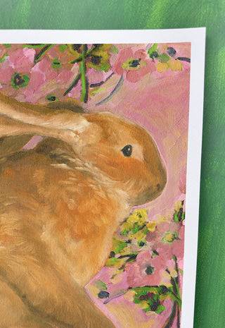 Rabbit