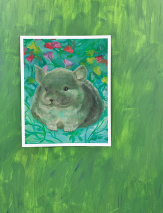 Chinchilla