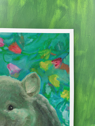 Chinchilla