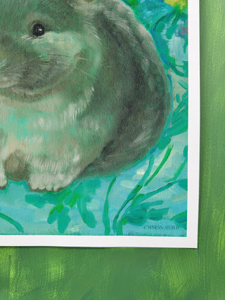 Chinchilla