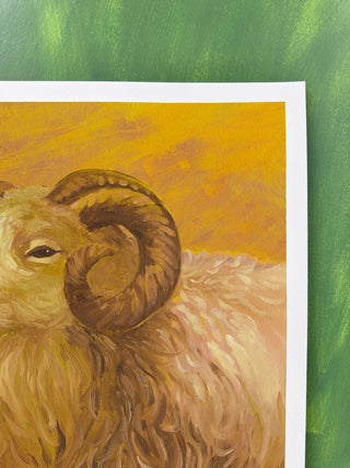 Ram In Mustard