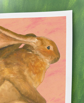 Rabbit In Pink