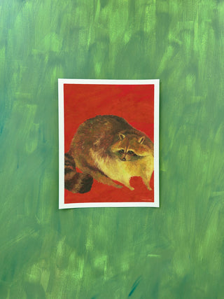 Raccoon In Red
