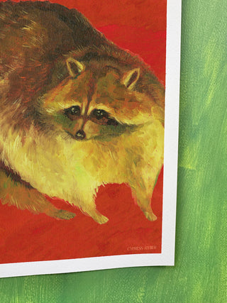 Raccoon In Red