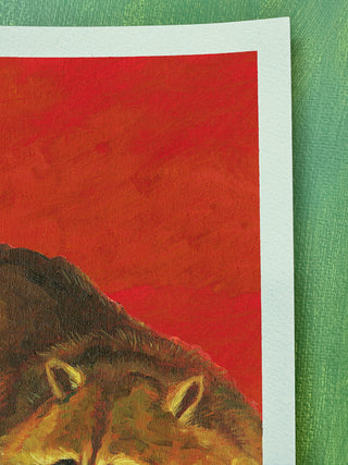 Raccoon In Red