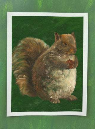 Squirrel In Pine