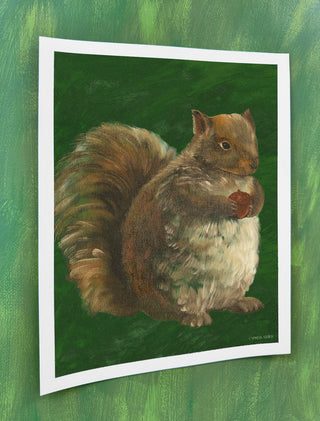 Squirrel In Pine