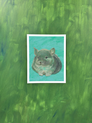 Chinchilla In Turquoise