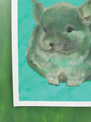 Chinchilla In Turquoise