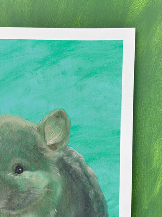 Chinchilla In Turquoise