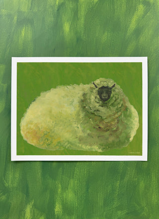 Sheep In Lime