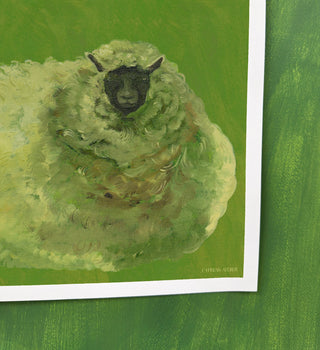 Sheep In Lime