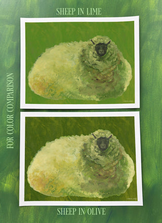 Sheep In Olive