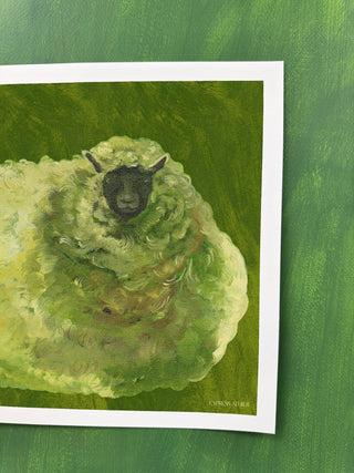 Sheep In Olive