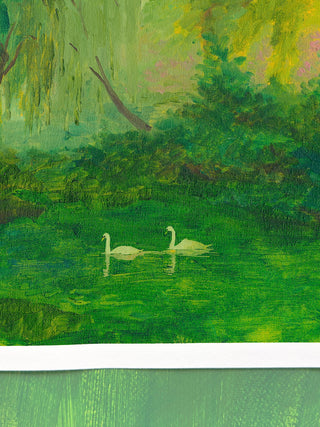 Swan Pond